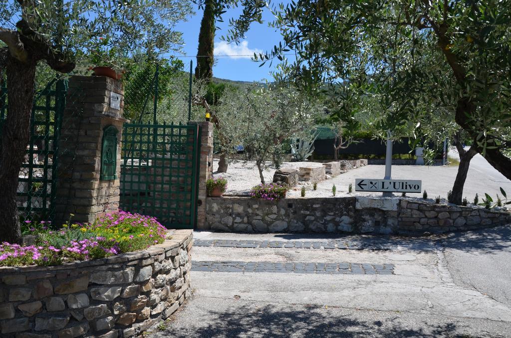 Il Borgo Dell'Ulivo Hotel เตรวี ภายนอก รูปภาพ